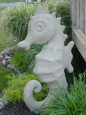 Seahorse 06 125